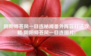 阴阳师苍风一目连秘闻番外阵容打法攻略(阴阳师苍风一目连图片)