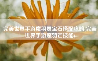 完美世界手游魔羽灵宝石搭配攻略(完美世界手游魔羽芒技能)