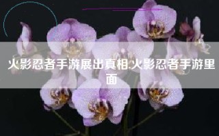 火影忍者手游展出真相,火影忍者手游里面