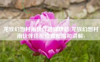 龙族幻想村雨伙伴选择攻略(龙族幻想村雨伙伴搭配位置配图和讲解)