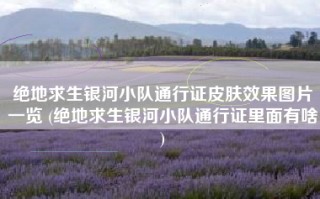 绝地求生银河小队通行证皮肤效果图片一览 (绝地求生银河小队通行证里面有啥)