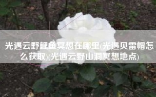 光遇云野鲤鱼冥想在哪里(光遇贝雷帽怎么获取)(光遇云野山洞冥想地点)