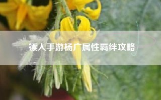 镖人手游杨广属性羁绊攻略