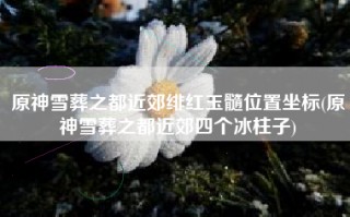 原神雪葬之都近郊绯红玉髓位置坐标(原神雪葬之都近郊四个冰柱子)