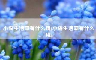 小森生活画有什么用(小森生活画有什么用)