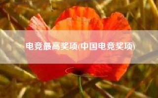 电竞最高奖项(中国电竞奖项)