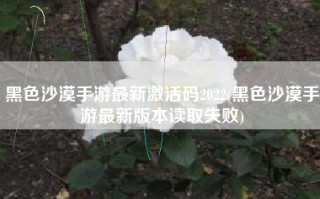 黑色沙漠手游最新激活码2022(黑色沙漠手游最新版本读取失败)