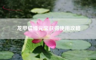 龙甲情缘元宝获得使用攻略