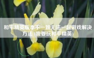 和平精英版本不一致无法一起游戏解决方法 (我要玩和平精英)