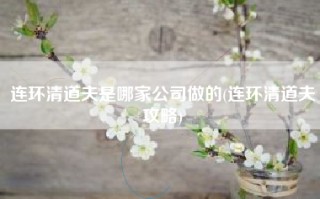 连环清道夫是哪家公司做的(连环清道夫攻略)