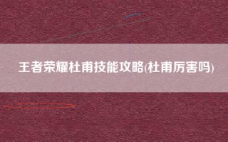 王者荣耀杜甫技能攻略(杜甫厉害吗)