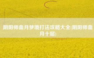 阴阳师血月梦境打法攻略大全(阴阳师血月十层)