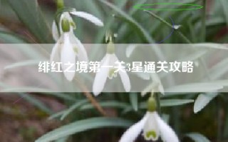 绯红之境第一关3星通关攻略