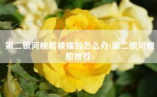 第二银河舰船被摧毁怎么办(第二银河舰船推荐)