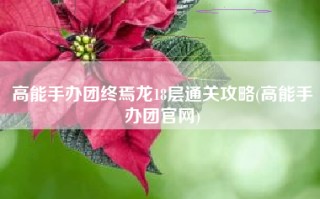 高能手办团终焉龙18层通关攻略(高能手办团官网)