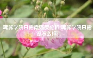 魂器学院日露霞强度分析(魂器学院日露霞怎么样)