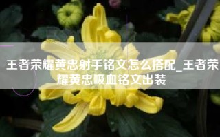 王者荣耀黄忠射手铭文怎么搭配_王者荣耀黄忠吸血铭文出装
