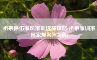 祖宗保佑家风家训选择攻略(祖宗家训家风家规名言50条)