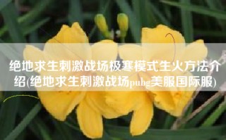 绝地求生刺激战场极寒模式生火方法介绍(绝地求生刺激战场pubg美服国际服)