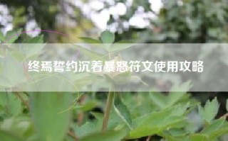 终焉誓约沉着暴怒符文使用攻略