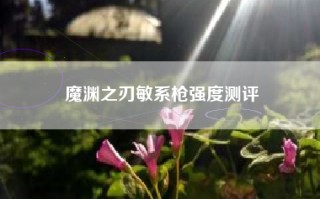 魔渊之刃敏系枪强度测评