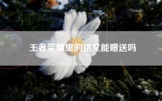 王者荣耀里的铭文能赠送吗