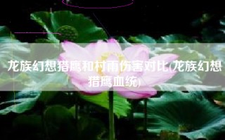 龙族幻想猎鹰和村雨伤害对比(龙族幻想猎鹰血统)