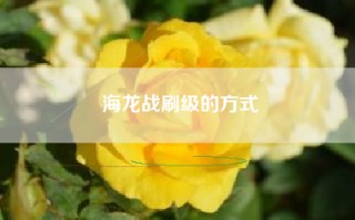 海龙战刷级的方式