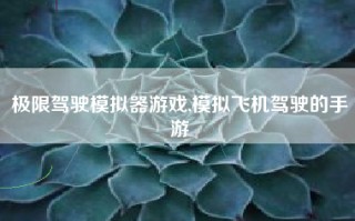 极限驾驶模拟器游戏,模拟飞机驾驶的手游