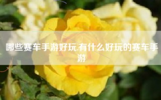 哪些赛车手游好玩,有什么好玩的赛车手游