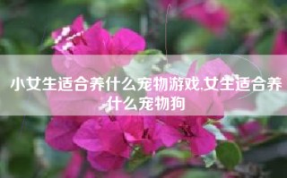 小女生适合养什么宠物游戏,女生适合养什么宠物狗