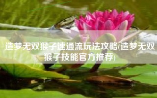 造梦无双猴子速通流玩法攻略(造梦无双猴子技能官方推荐)