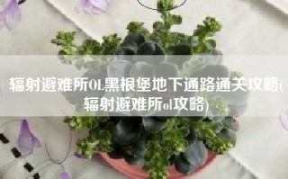 辐射避难所OL黑根堡地下通路通关攻略(辐射避难所ol攻略)