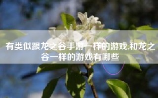 有类似跟龙之谷手游一样的游戏,和龙之谷一样的游戏有哪些