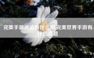 完美手游神谕有什么用,完美世界手游有什么攻略