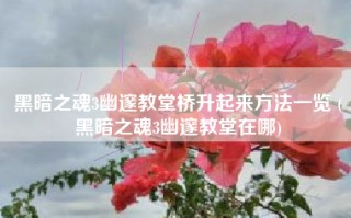 黑暗之魂3幽邃教堂桥升起来方法一览 (黑暗之魂3幽邃教堂在哪)