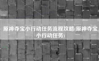 原神夺宝小行动任务流程攻略(原神夺宝小行动任务)