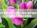 奶牛镇的小时光稻草人图纸(奶牛镇的小时光稻草人和洒水器布局)