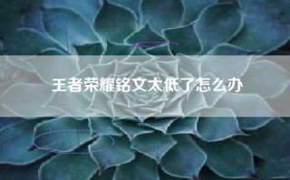 王者荣耀铭文太低了怎么办