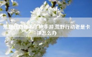 荒野行动开不了枪手游,荒野行动老是卡弹怎么办