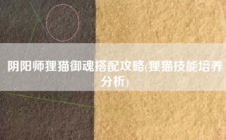 阴阳师狸猫御魂搭配攻略(狸猫技能培养分析)