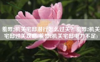 羞辱2机关宅邸潜行怎么过关？羞辱2机关宅邸过关攻略(羞辱2机关宅邸电力不足)