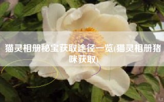 猫灵相册秘宝获取途径一览(猫灵相册猪咪获取)