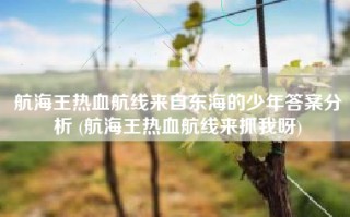 航海王热血航线来自东海的少年答案分析 (航海王热血航线来抓我呀)