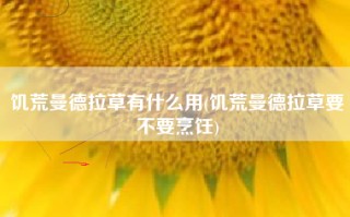 饥荒曼德拉草有什么用(饥荒曼德拉草要不要烹饪)