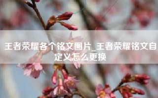 王者荣耀各个铭文图片_王者荣耀铭文自定义怎么更换
