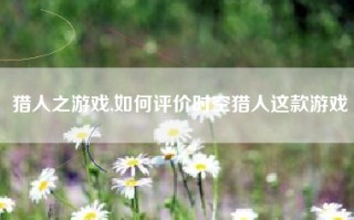 猎人之游戏,如何评价时空猎人这款游戏