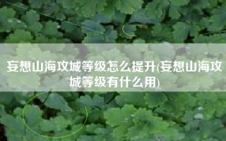 妄想山海攻城等级怎么提升(妄想山海攻城等级有什么用)