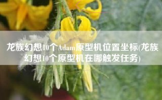 龙族幻想10个Adam原型机位置坐标(龙族幻想10个原型机在哪触发任务)