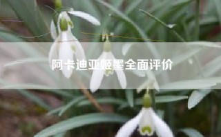 阿卡迪亚姬墨全面评价